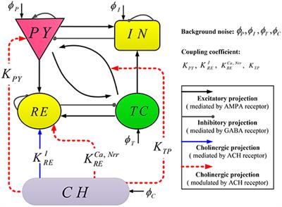 Effects of Cholinergic Neuromodulation on Thalamocortical Rhythms During NREM Sleep: A Model Study